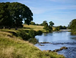 Streams of medicines: what’s hiding in the UK’s waterways? – podcast